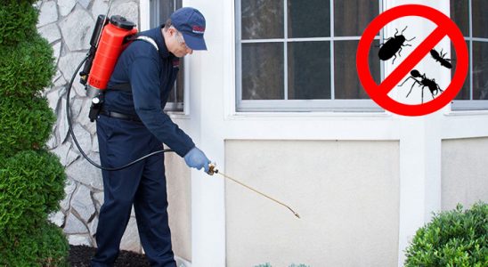 Atabey Kemirgen İlaçlama böcek ilaçlama ve haşere kontrolü — ilaclama-tr.com